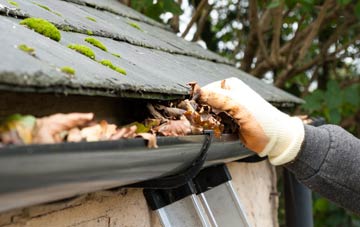 gutter cleaning Spa Common, Norfolk