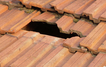 roof repair Spa Common, Norfolk
