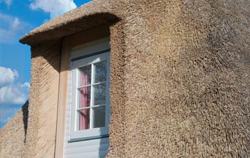 Spa Common thatch roof disadvantages